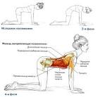Укрепление мышц спины упражнения